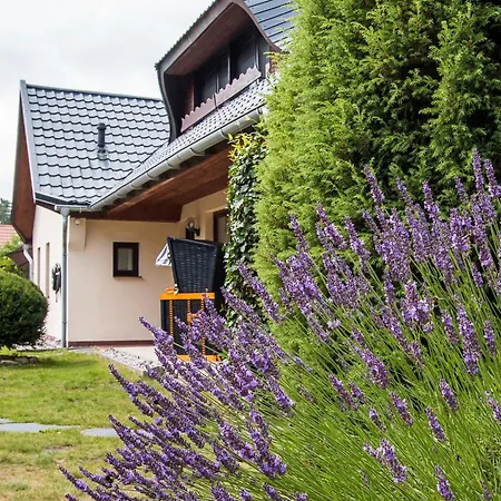 Haus Windfluechter Dierhagen