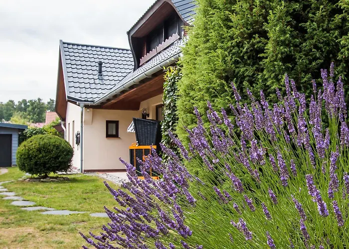 Haus Windflüchter Dierhagen